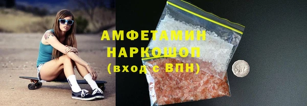 гашик Алексин