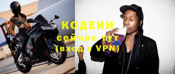 гашик Алексин