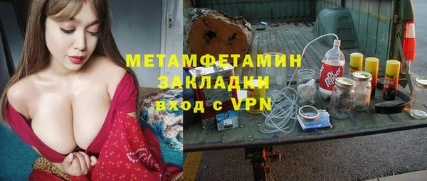 гашик Алексин