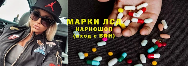 гашик Алексин