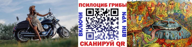 Псилоцибиновые грибы мицелий  Оханск 